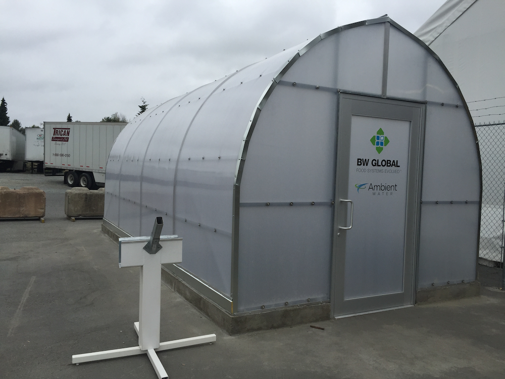 FREESTANDING 12' wide