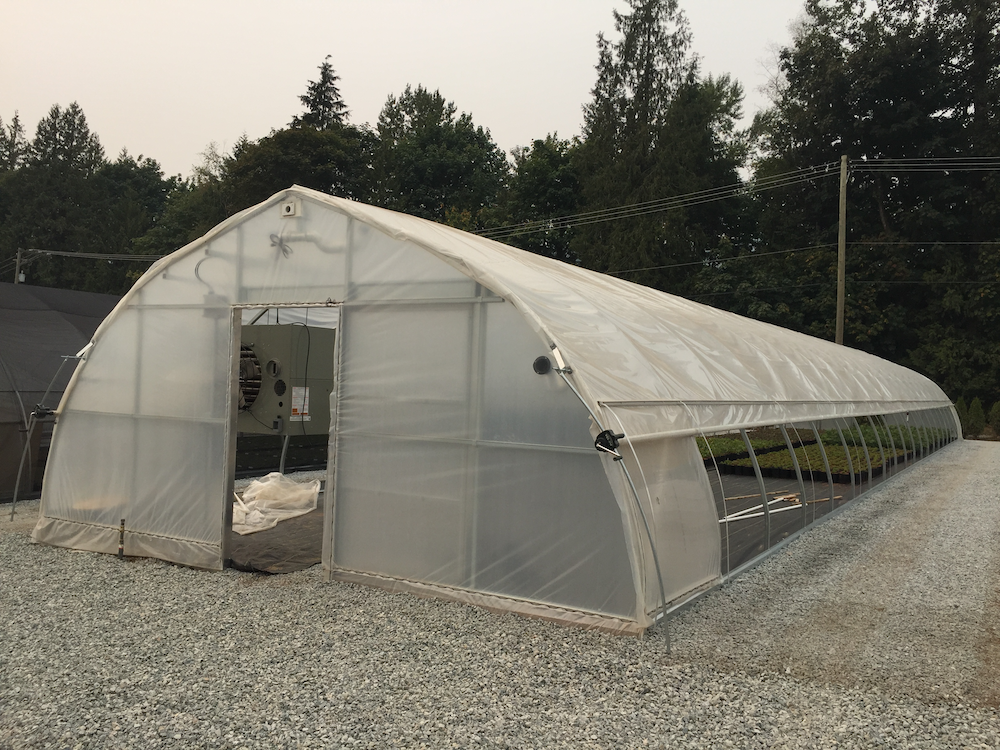 FREESTANDING Greenhouse 20' wide