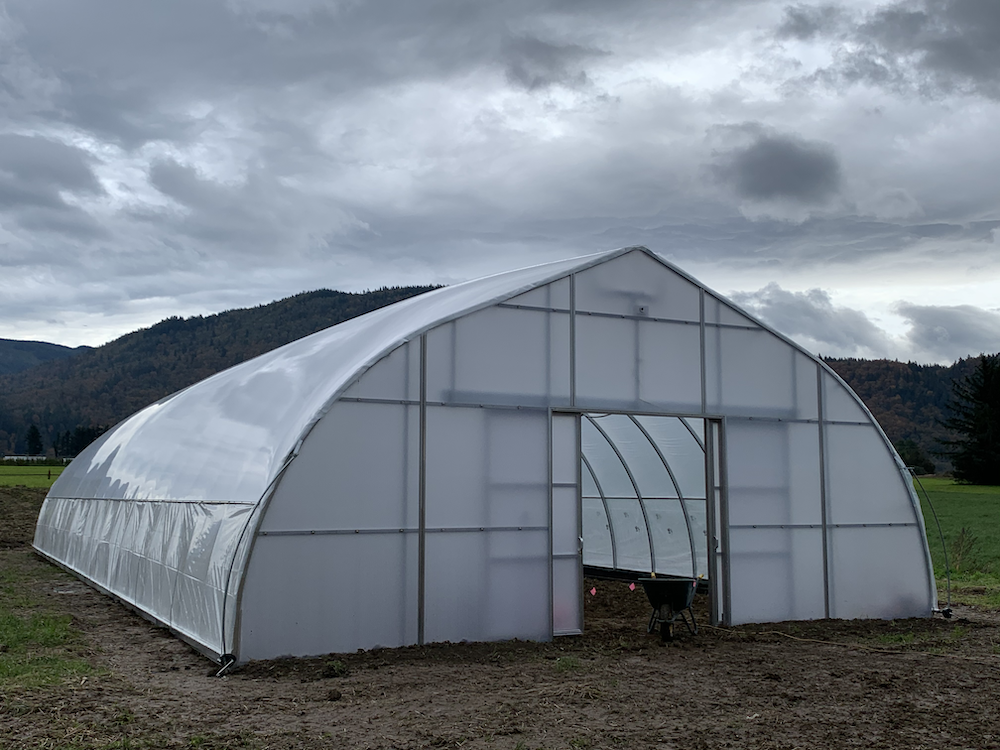 FREESTANDING 36' wide