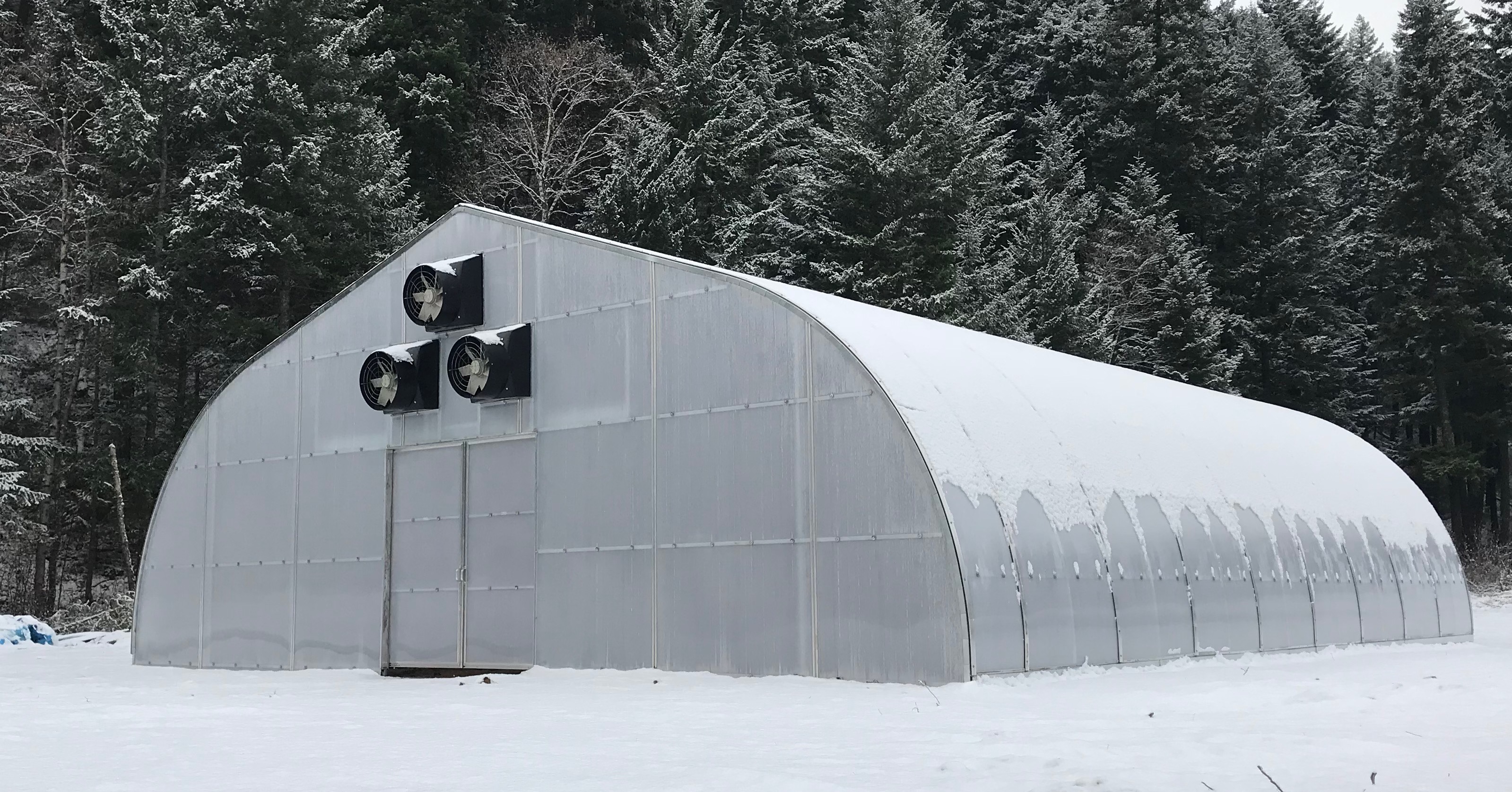 FREESTANDING 40' wide