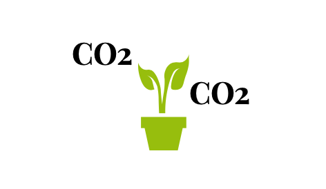 CO2 ENRICHMENT